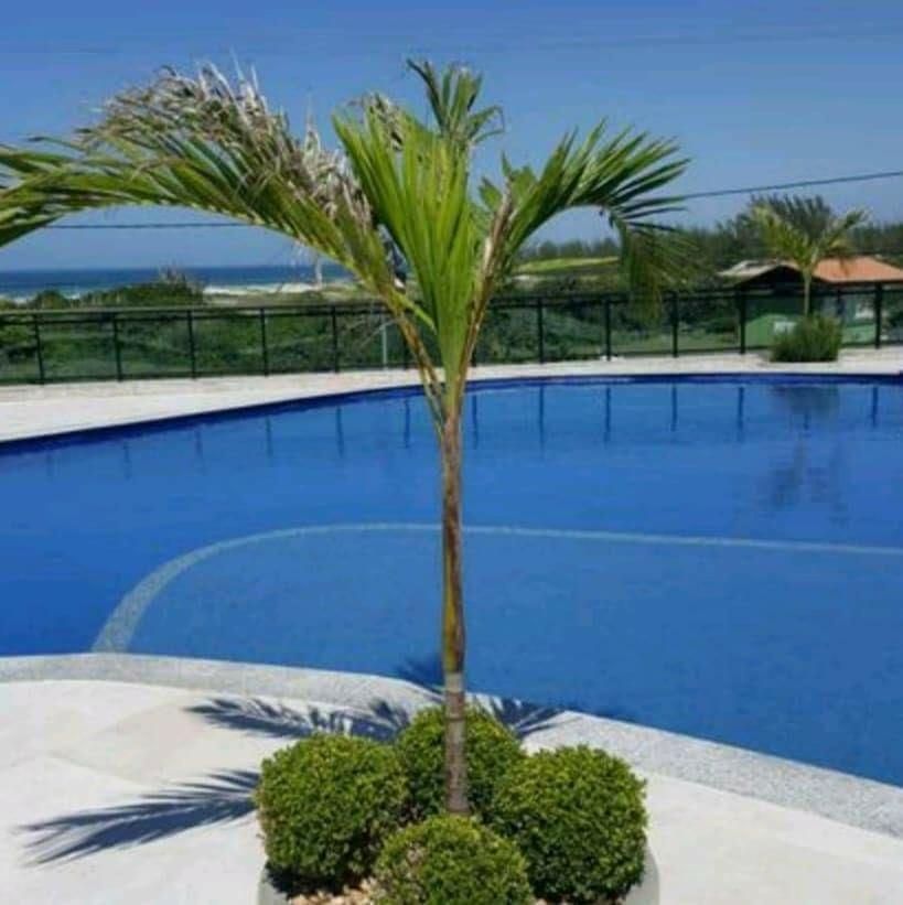 Le Bon Vivant Arraial Do Cabo 405 Bl A Exteriér fotografie